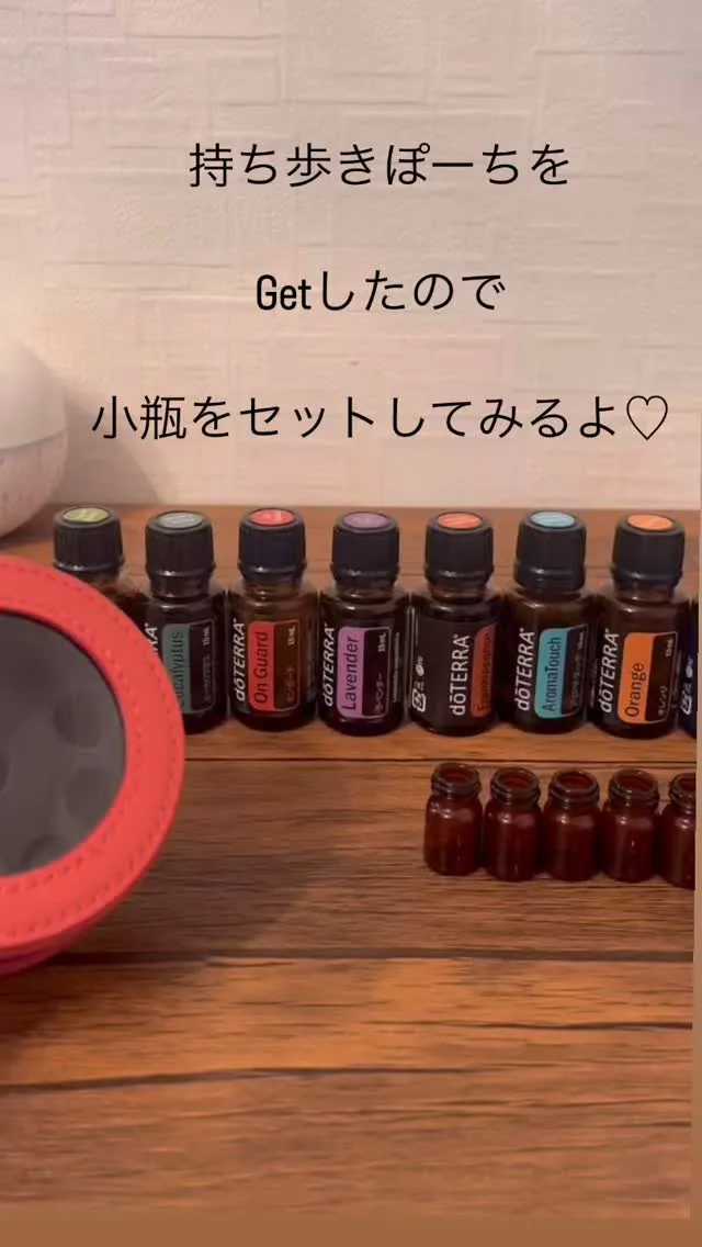 出先の持ち歩きケース